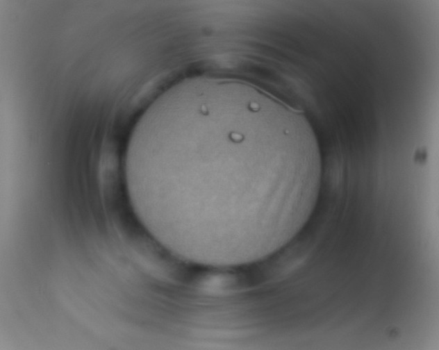 X0000113950220200910161947