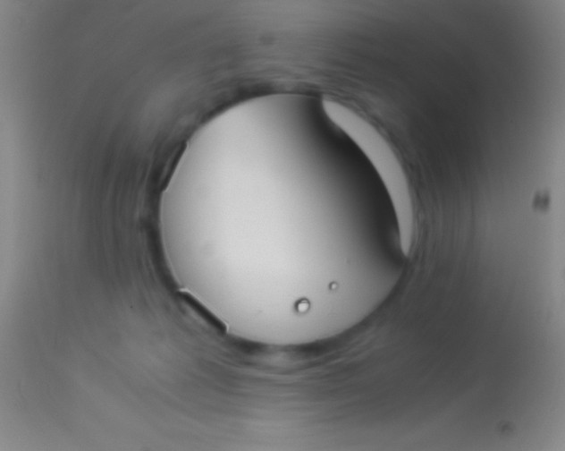 X0000113950221200910161947