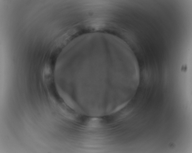 X0000113950222200910161947