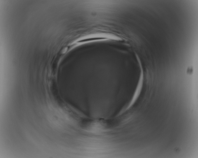 X0000113950223200910161947
