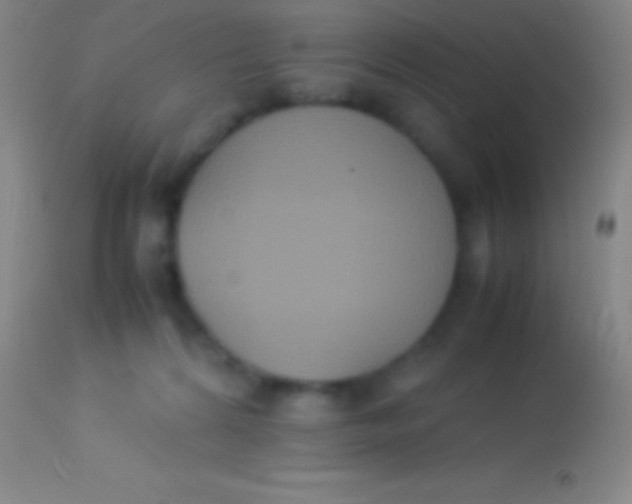 X0000113950224200910161947