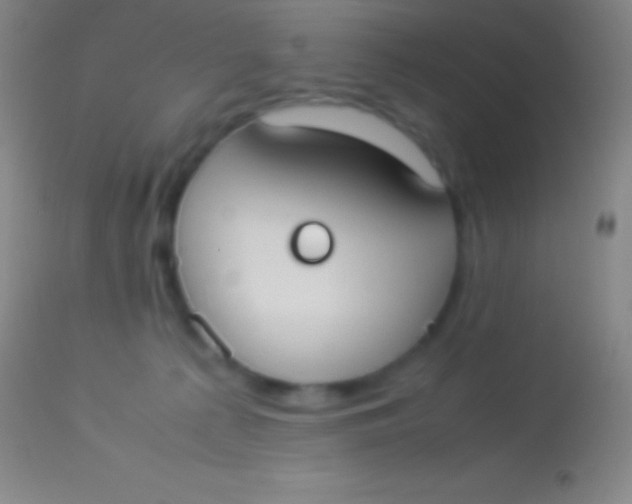 X0000113950225200910161947