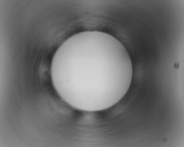 X0000113950226200910161947