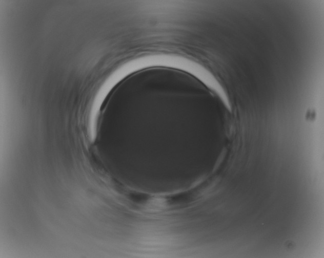 X0000113950227200910161947