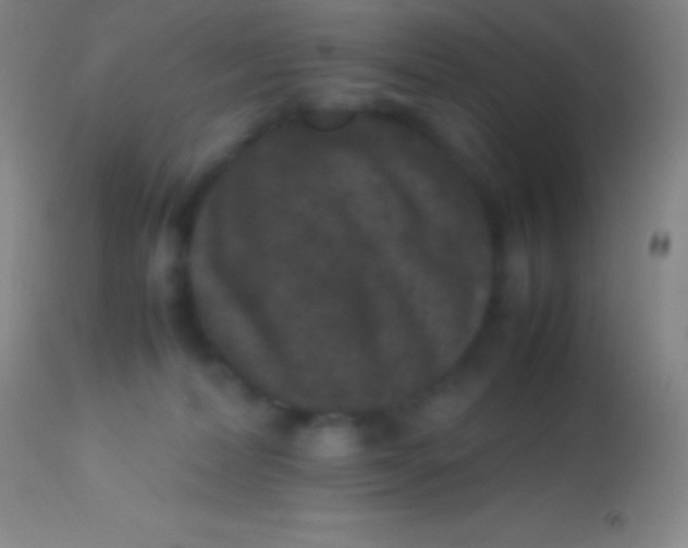 X0000113950228200910161947
