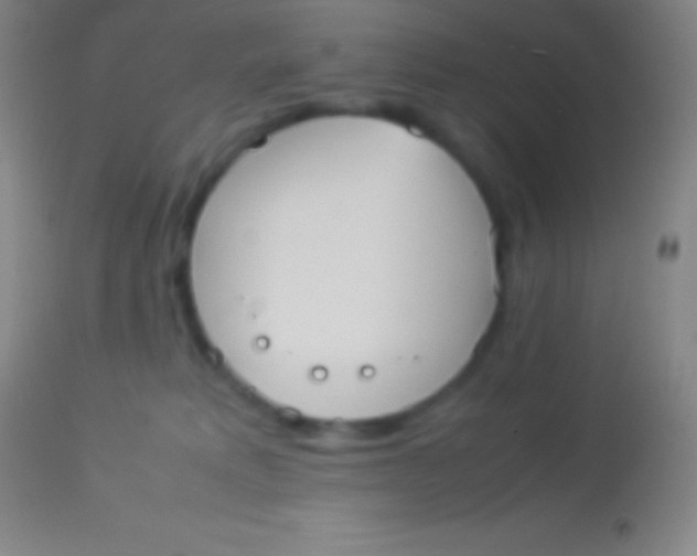 X0000113950229200910161947