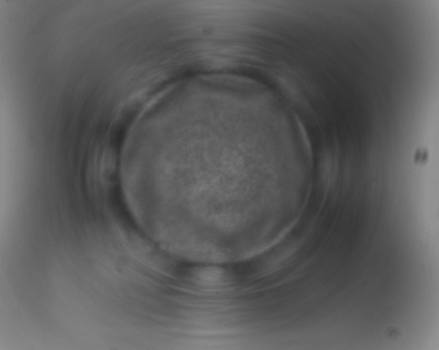 X0000113950230200910161947