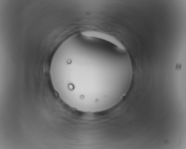X0000113950231200910161947