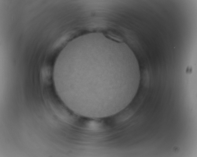 X0000113950232200910161947