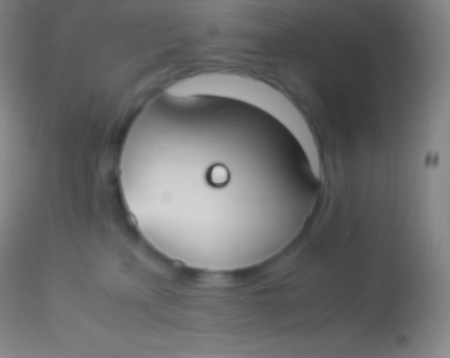 X0000113950233200910161947