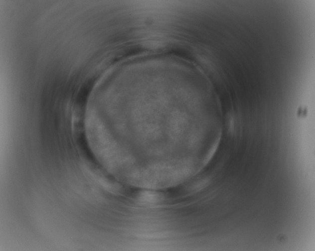 X0000113950234200910161947