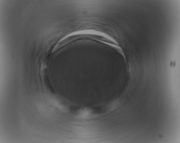 X0000113950235200910161947