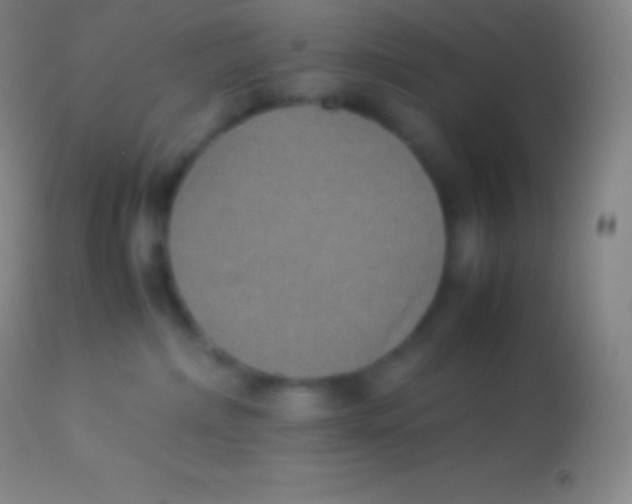 X0000113950236200910161947
