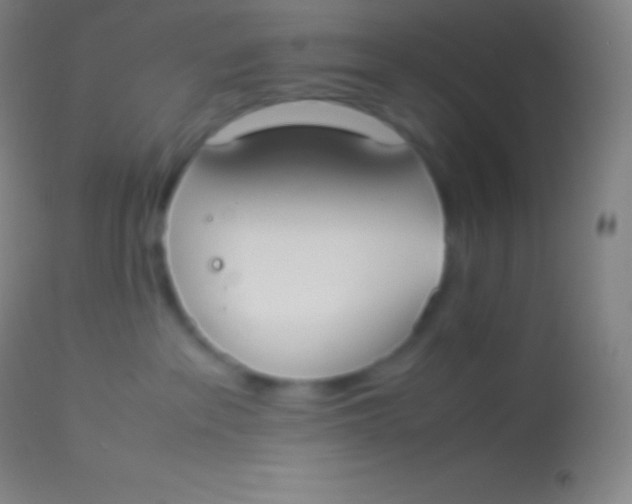 X0000113950237200910161947