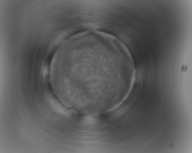X0000113950238200910161947