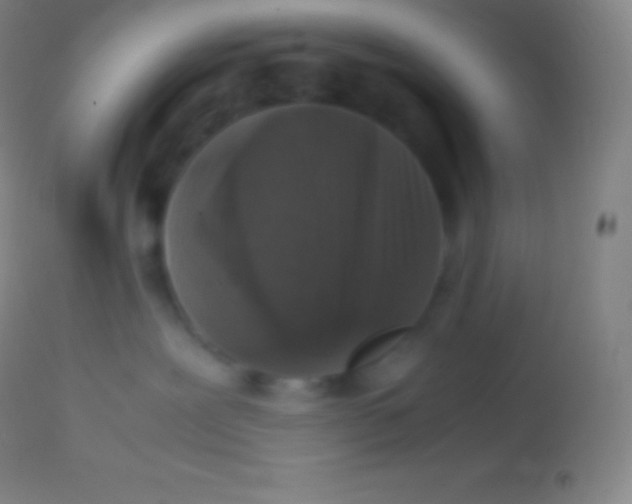 X0000113950239200910161947