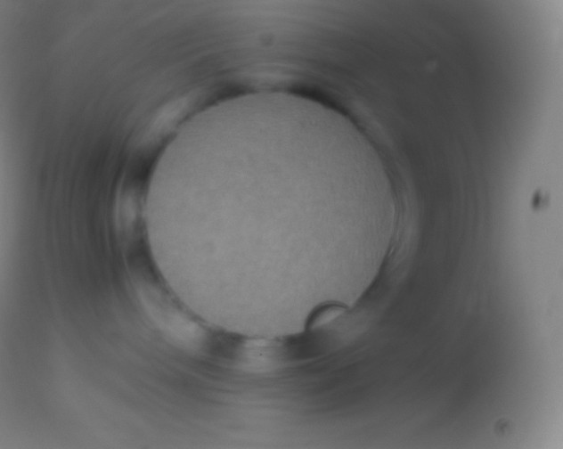 X0000113950240200910161947