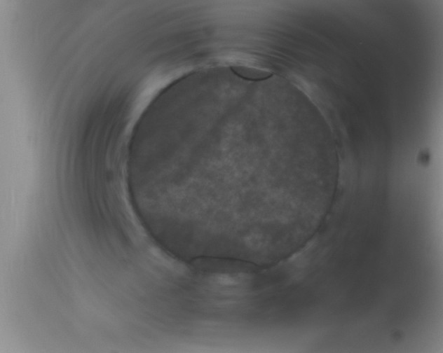 X0000113950241200910161946