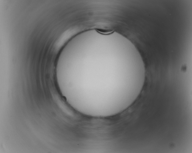 X0000113950242200910161946