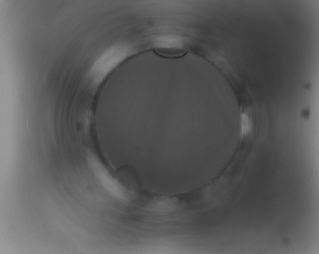 X0000113950243200910161946