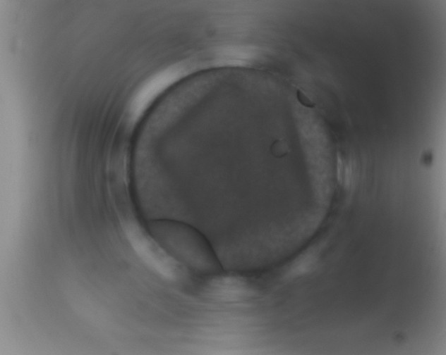X0000113950244200910161946