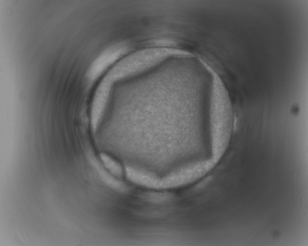 X0000113950245200910161946