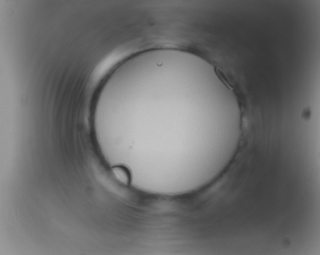 X0000113950246200910161946