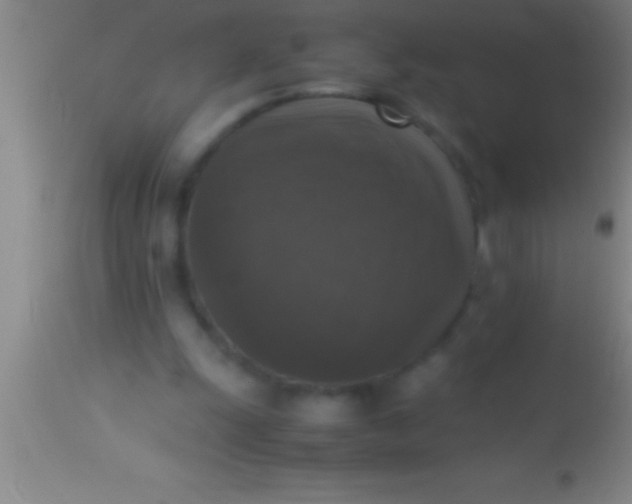 X0000113950247200910161946