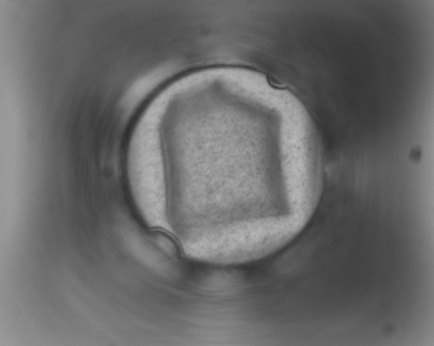 X0000113950248200910161946