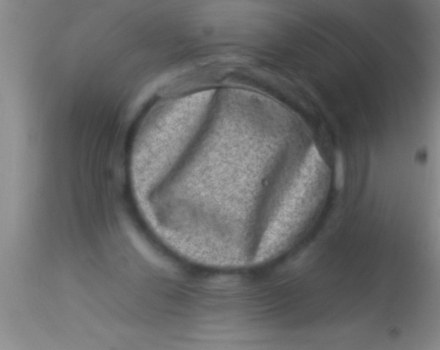 X0000113950252200910161946