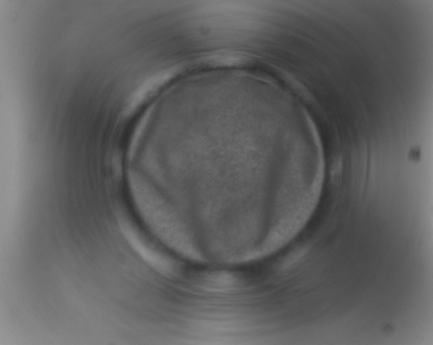 X0000113950254200910161946