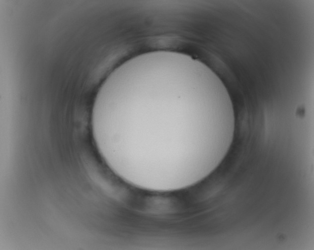 X0000113950255200910161946