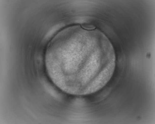 X0000113950256200910161946