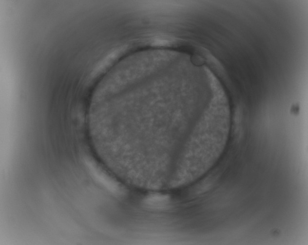 X0000113950257200910161946