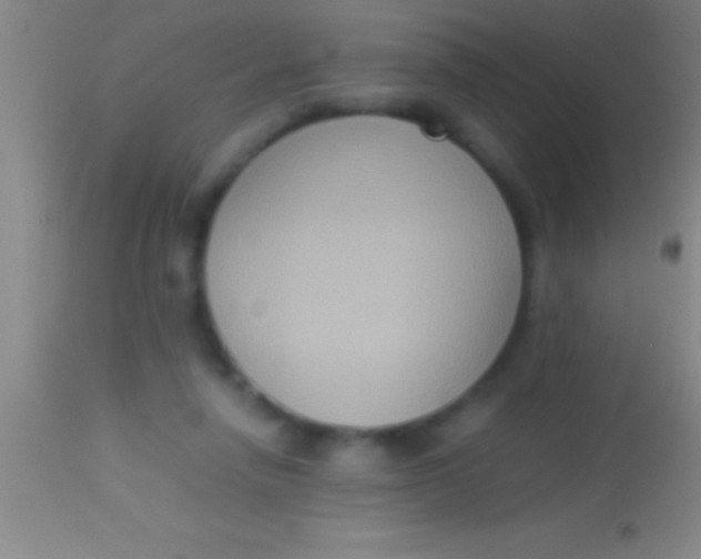 X0000113950258200910161946