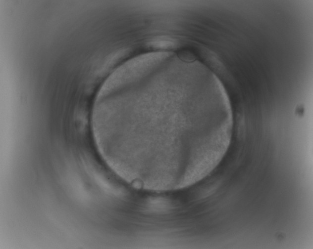 X0000113950259200910161947