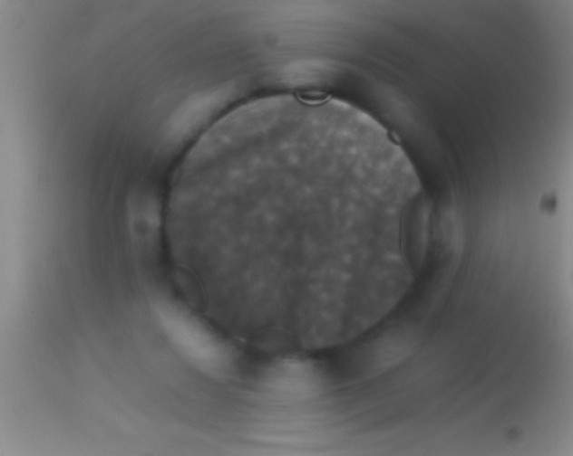X0000113950260200910161947