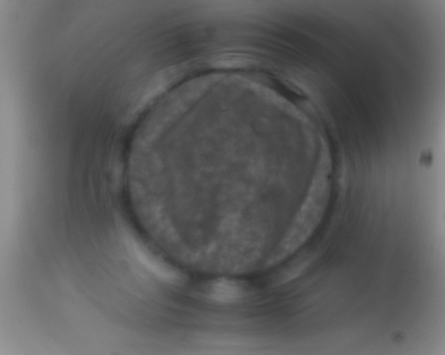 X0000113950261200910161947