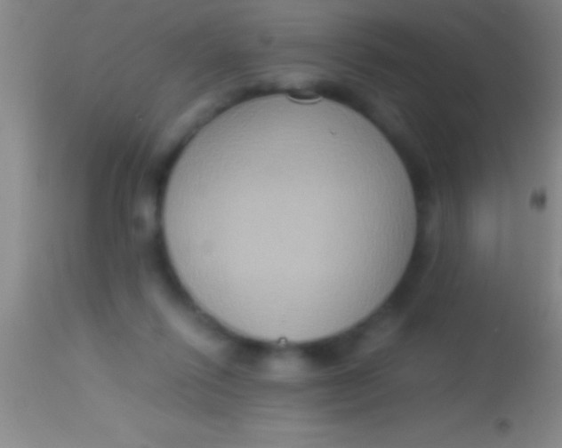 X0000113950262200910161947