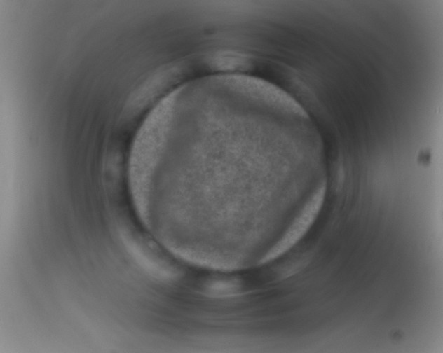 X0000113950263200910161947