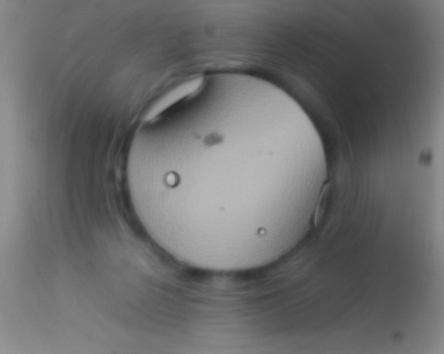 X0000113950264200910161947