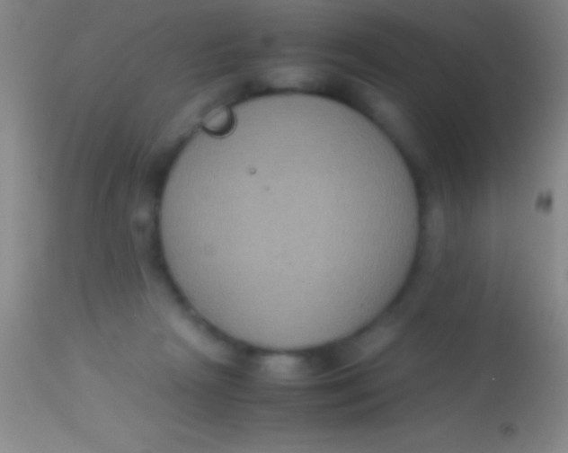 X0000113950265200910161947