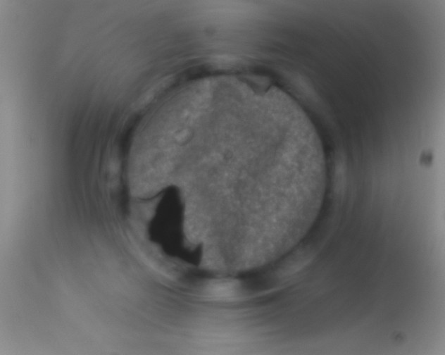 X0000113950266200910161947