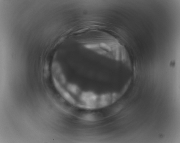X0000113950267200910161947