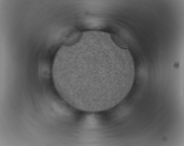 X0000113950268200910161947