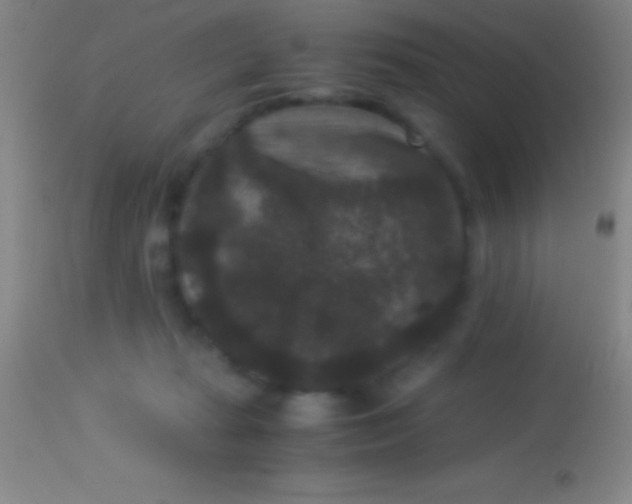 X0000113950269200910161947