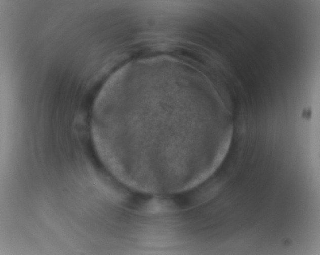 X0000113950270200910161947