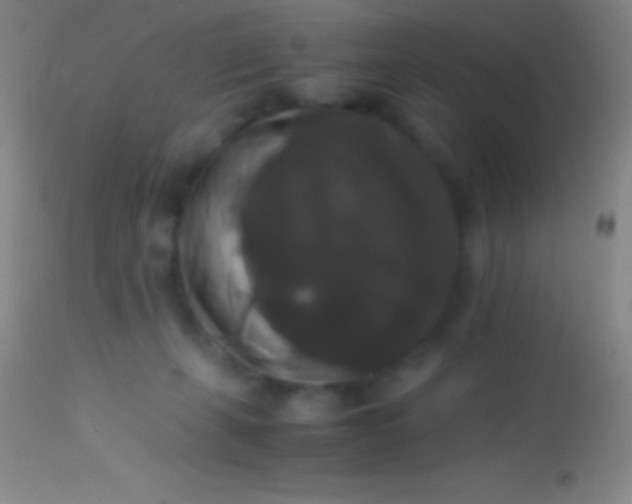 X0000113950271200910161947
