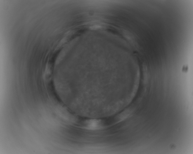 X0000113950273200910161947