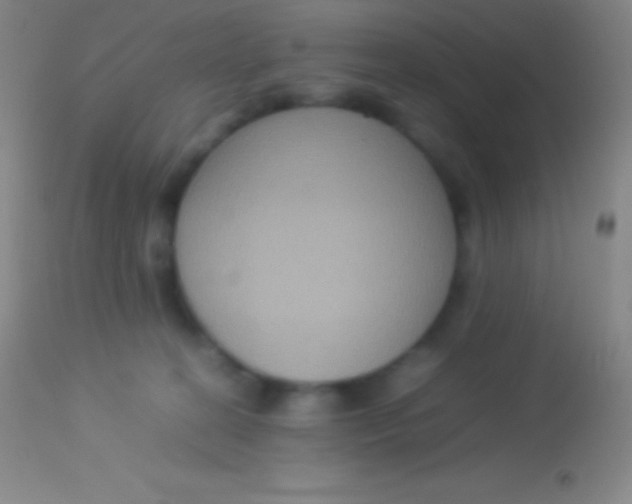 X0000113950274200910161947
